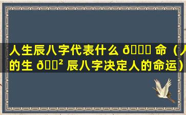 人生辰八字代表什么 🐈 命（人的生 🌲 辰八字决定人的命运）